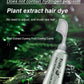 Fruit Essence Hair Dyeing Comb – Cream & Comb in One, No-Mix Plant Formula