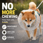 Breathable Mesh Dog Muzzle – Anti-Ingestion Full-Face Guard