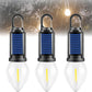 ⛺ Non hai presa di corrente? 💡Questa lampadina solare impermeabile risolve ogni problema di illuminazione! 💡