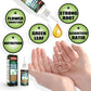 🔥Acquista 1 e ricevi 1 gratis (2 pezzi)🔥Soluzione nutritiva per piante