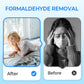 Purificatore d'aria anti-formaldeide per uso domestico