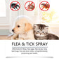🍃Spray naturale contro pulci e zecche per cani e gatti🐾 Proteggi il tuo amato animale domestico dai parassiti