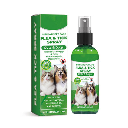 🍃Spray naturale contro pulci e zecche per cani e gatti🐾 Proteggi il tuo amato animale domestico dai parassiti