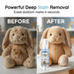 Detergente schiumogeno senza acqua per peluche