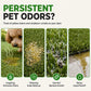 🐾🌿 Schiuma detergente per erba artificiale per animali domestici – agisce su residui di urina e odori di ammoniaca. La schiuma facile da applicare rimuove i residui, è delicata sul prato. Rinnova il tuo prato in un attimo! 💦✅