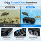 🐢💧 Raccoglitore di Escrementi per Tartarughe e Pulitore di Residui per Acquario – Mantiene l’Acqua Pulita e l’Ambiente Sano ✨