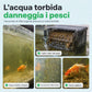 Filtro a carbone attivo cubo per purificazione dell'acqua dell'acquario